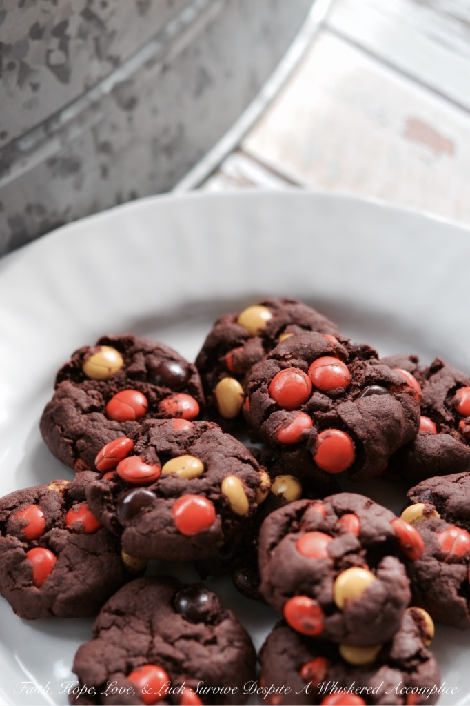 Chocolate Pudding Reese's Pancake Cookies | Faith, Hope, Love, and Luck Survive Despite a Whiskered Accomplice