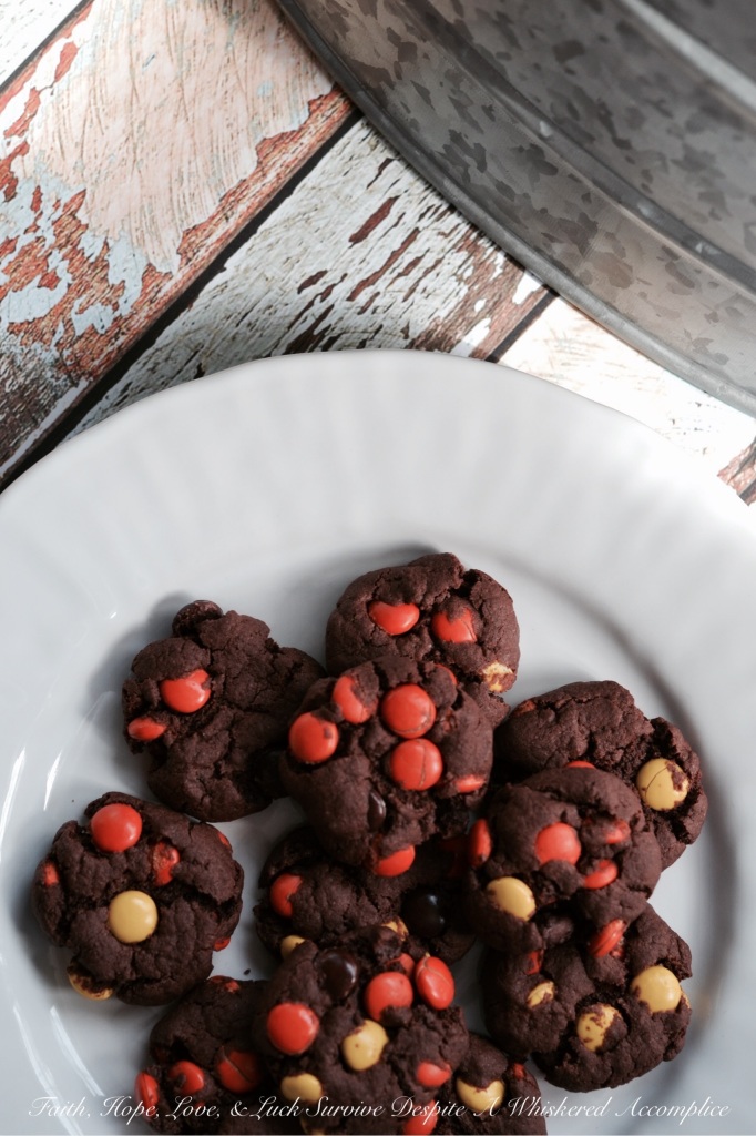 Chocolate Pudding Reese's Pancake Cookies | Faith, Hope, Love, and Luck Survive Despite a Whiskered Accomplice