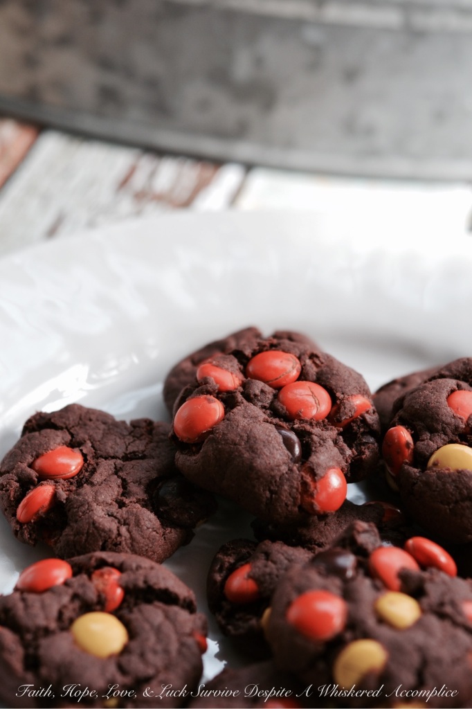 Chocolate Pudding Reese's Pancake Cookies | Faith, Hope, Love, and Luck Survive Despite a Whiskered Accomplice