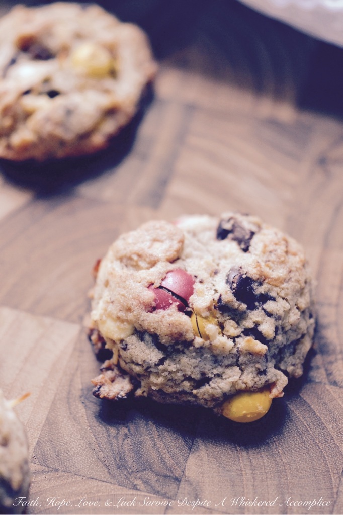 Thanksgiving Leftover Cookies - Part II | Faith, Hope, Love, and Luck Survive Despite a Whiskered Accomplice