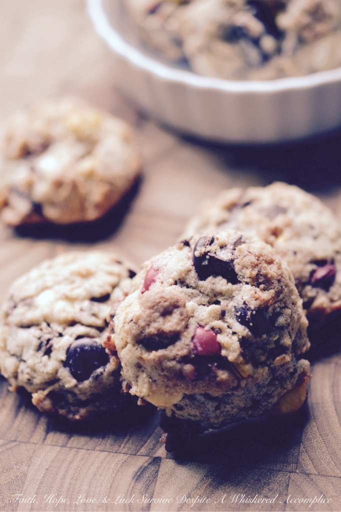 Thanksgiving Leftover Cookies - Part II | Faith, Hope, Love, and Luck Survive Despite a Whiskered Accomplice