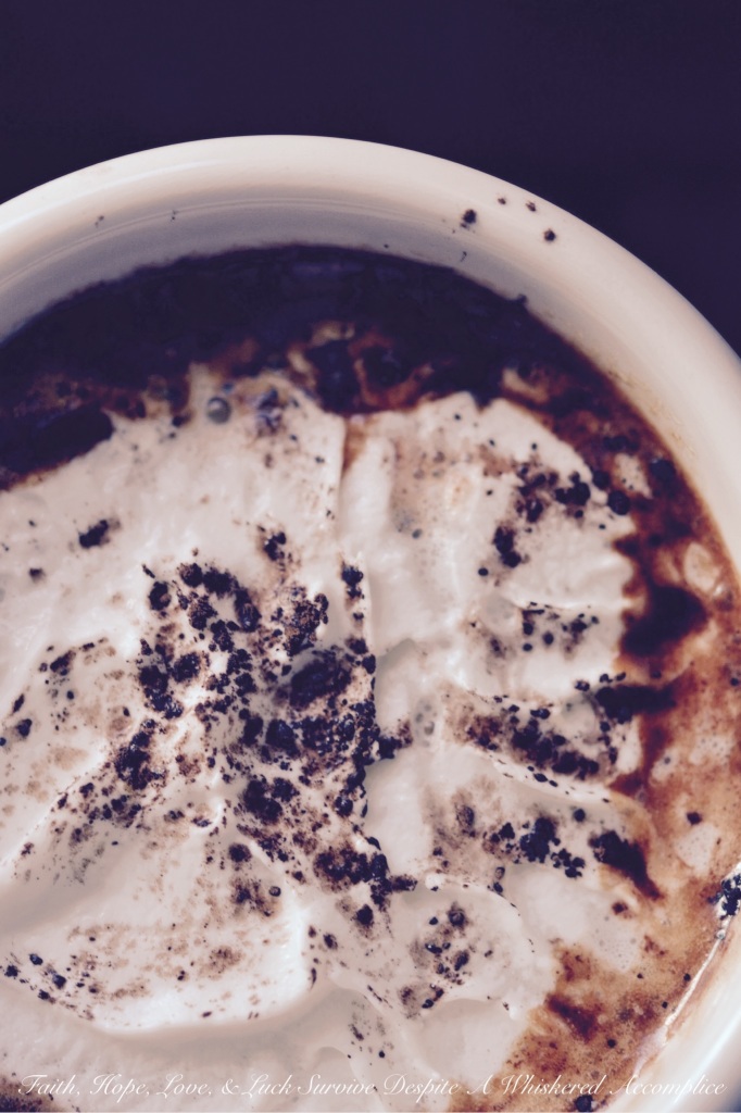 Sea Salted Hot Chocolate | Faith, Hope, Love, and Luck Survive Despite a Whiskered Accomplice