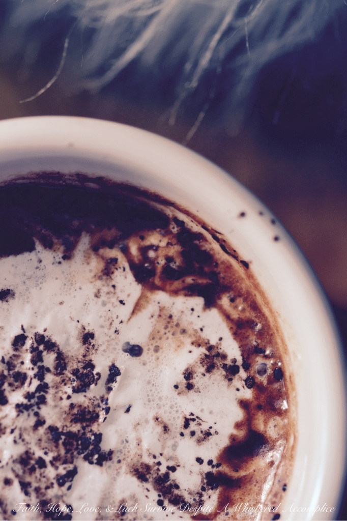 Sea Salted Hot Chocolate | Faith, Hope, Love, and Luck Survive Despite a Whiskered Accomplice