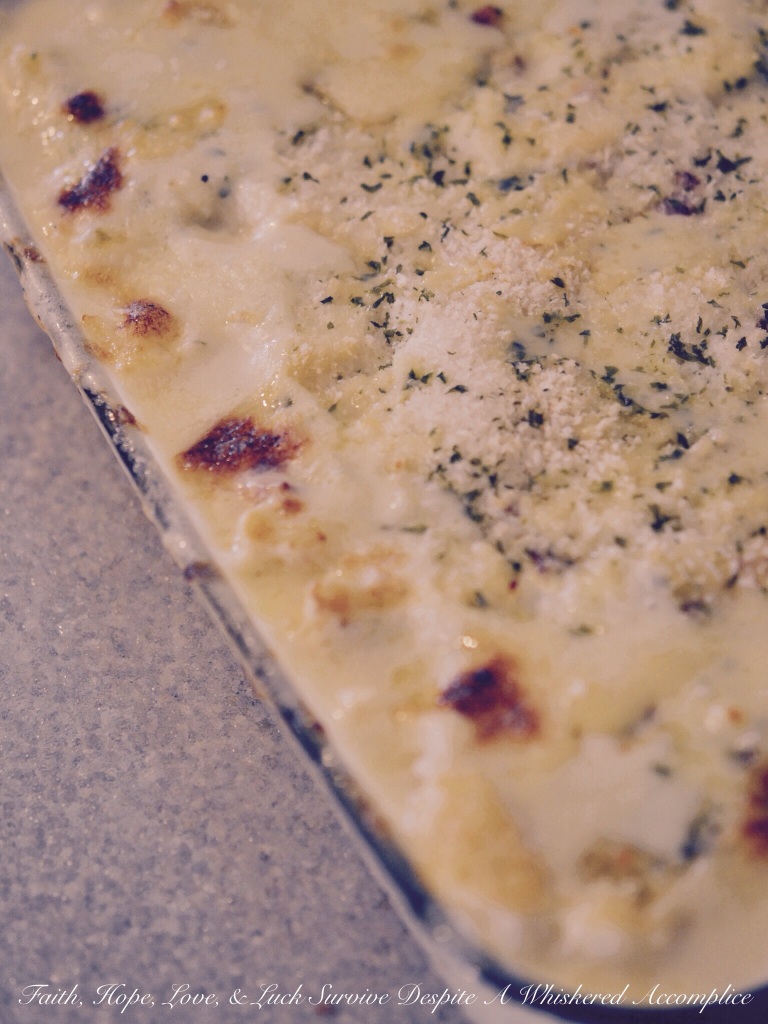 Cauliflower Au Gratin | Faith, Hope, Love, and Luck Survive Despite a Whiskered Accomplice