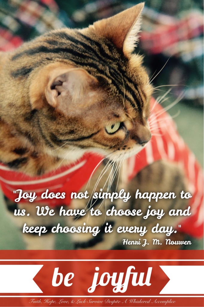 Be Joyful | Faith, Hope, Love, and Luck Survive Despite a Whiskered Accomplice