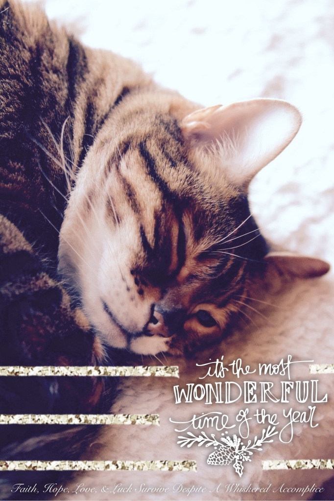 It's the Most Wonderful Time of the Year | Faith, Hope, Love, and Luck Survive Despite a Whiskered Accomplice