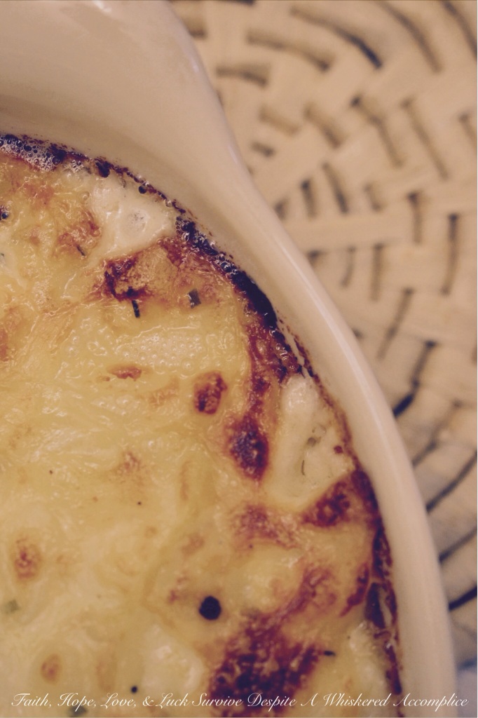 White Oak Cheddar Squidgy Potatoes | Faith, Hope, Love, and Luck Survive Despite a Whiskered Accomplice