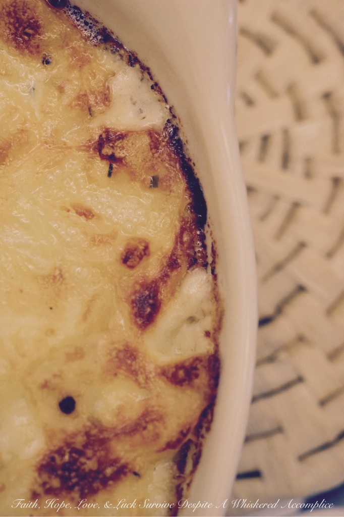 White Oak Cheddar Squidgy Potatoes | Faith, Hope, Love, and Luck Survive Despite a Whiskered Accomplice