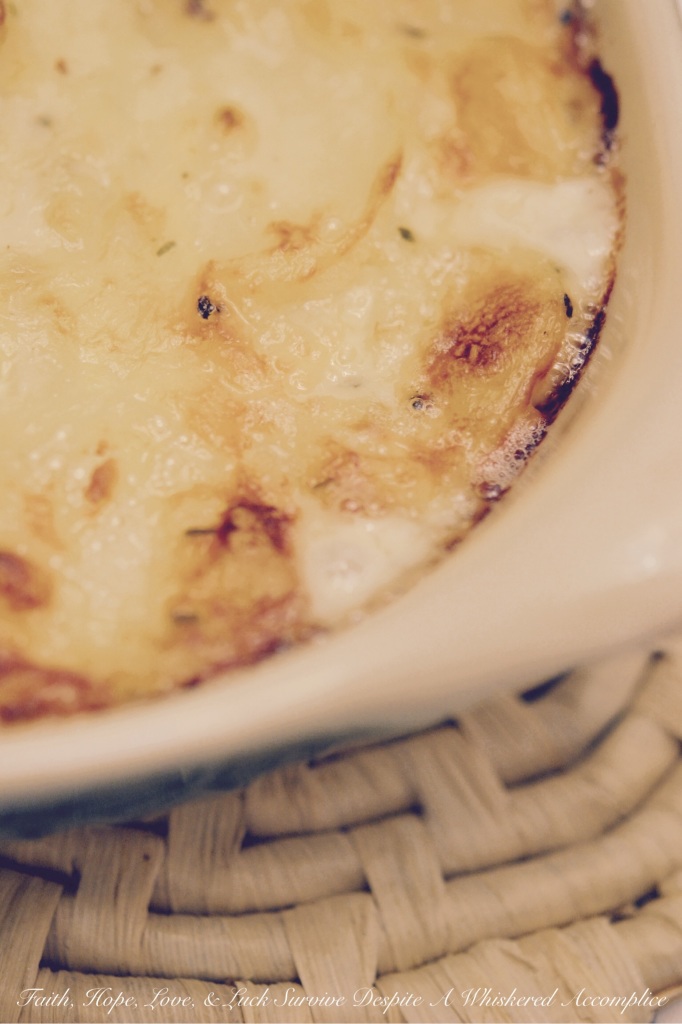 White Oak Cheddar Squidgy Potatoes | Faith, Hope, Love, and Luck Survive Despite a Whiskered Accomplice