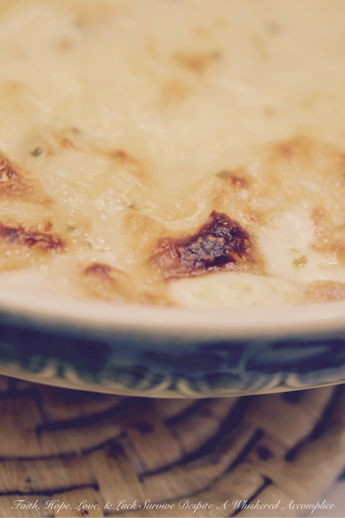 White Oak Cheddar Squidgy Potatoes | Faith, Hope, Love, and Luck Survive Despite a Whiskered Accomplice