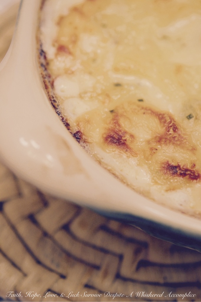 White Oak Cheddar Squidgy Potatoes | Faith, Hope, Love, and Luck Survive Despite a Whiskered Accomplice