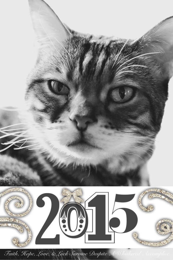 2015 Brenna | Faith, Hope, Love, and Luck Survive Despite a Whiskered Accomplice