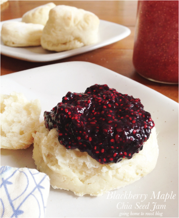 Chia Seed Jams | Faith, Hope, Love, and Luck Survive Despite a Whiskered Accomplice