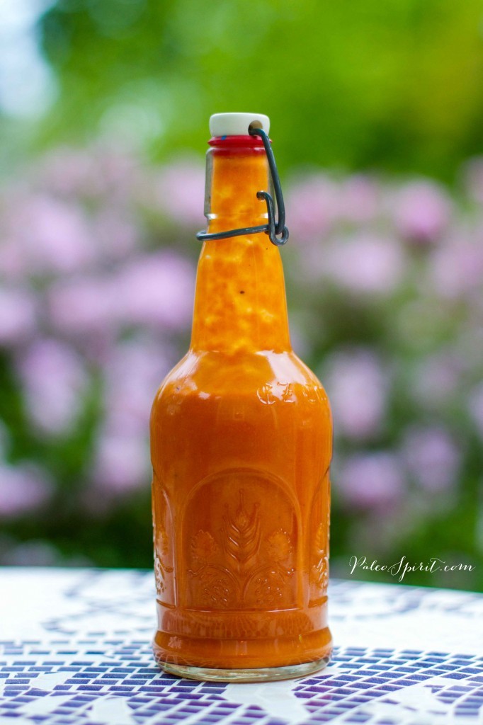 Healthy Homemade French Dressing | Faith, Hope, Love, and Luck Survive Despite a Whiskered Accomplice