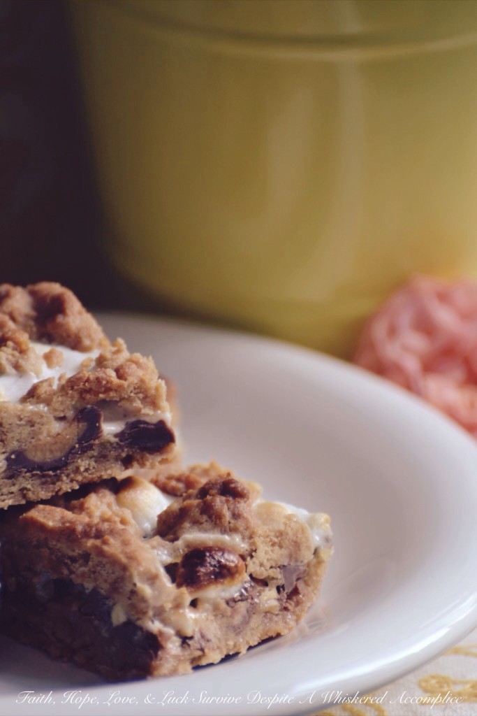 Peanut Butter Cup S'mores Bars - In this sinfully sweet cookie dessert bar recipe, a graham cracker crust is topped with chopped peanut butter cups and then sprinkled with peanuts, marshmallows, and miniature chocolate chips, before having more of the graham cracker crust mixture crumbled on top. With this baked s'mores recipe, there's absolutely no need to wait for a campfire.
