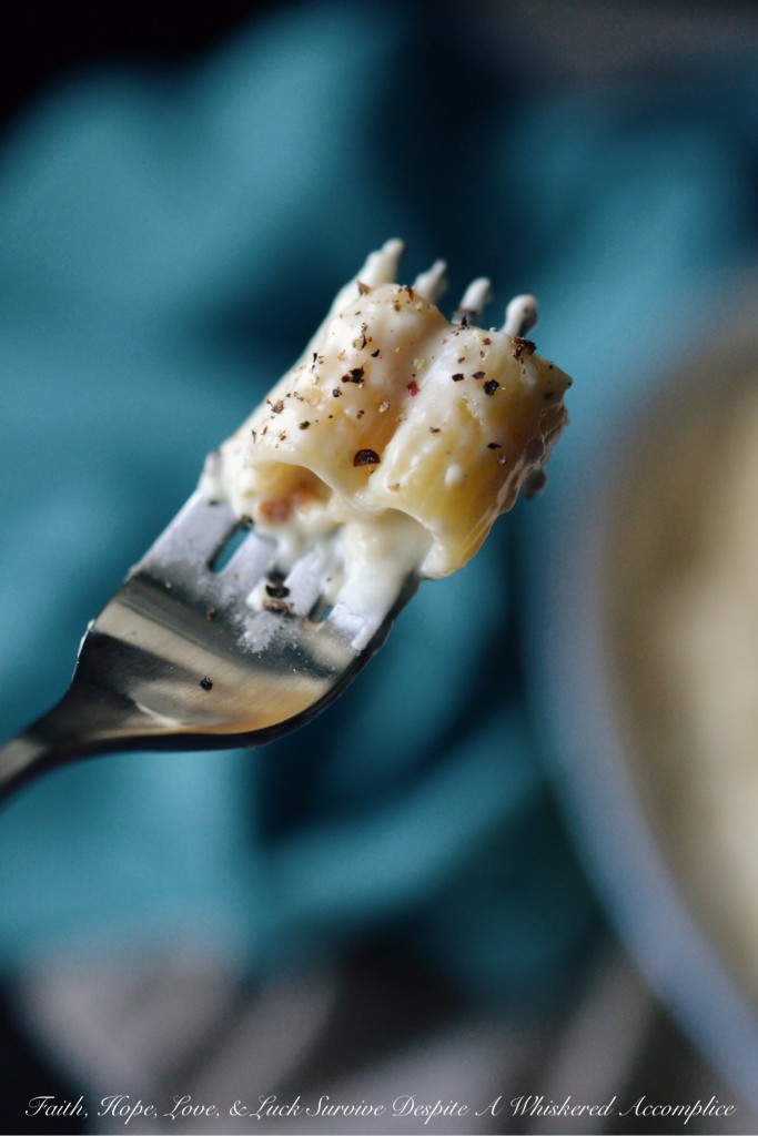 One-Pot Alfredo Mac and Cheese | Faith, Hope, Love, and Luck Survive Despite a Whiskered Accomplice