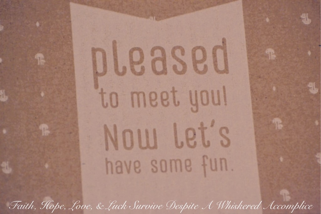 How to Spend a Rainy Day | Faith, Hope, Love, and Luck Survive Despite a Whiskered Accomplice