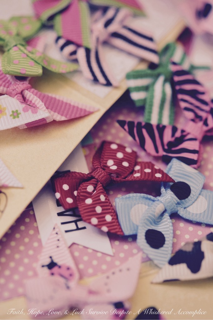 Happy Birthday 2015 | Faith, Hope, Love, and Luck Survive Despite a Whiskered Accomplice