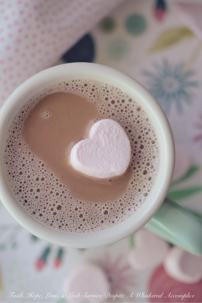 Strawberries and Cream Hot Chocolate | Faith, Hope, Love, and Luck Survive Despite a Whiskered Accomplice