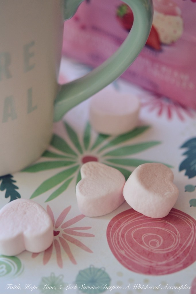Strawberries and Cream Hot Chocolate | Faith, Hope, Love, and Luck Survive Despite a Whiskered Accomplice