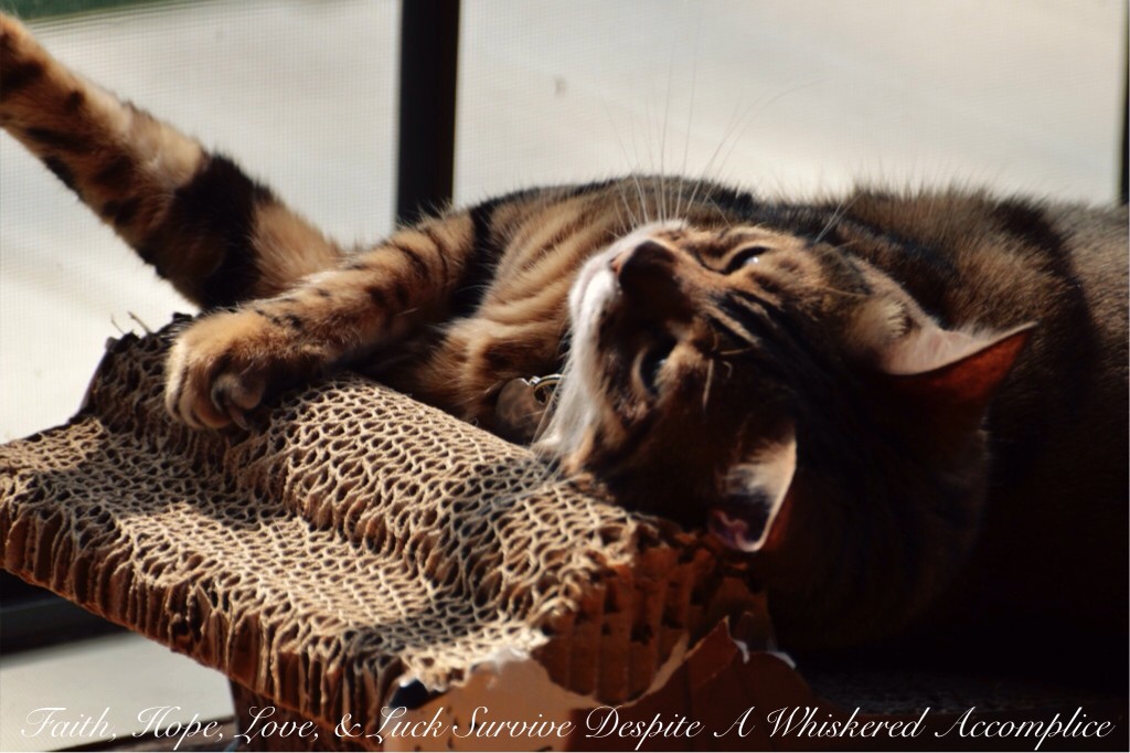 In the Beginning - Each petal of the four-leaf clover stands for something; faith, hope, love, and luck. It requires all of these to survive Lady Brenna of Fairfax, an adventurous Bengal cat with a very unyielding personality. Every craft project I attempt, each recipe I create, and every gift I give, will always have one thing in common. There will almost always be cat hair involved.