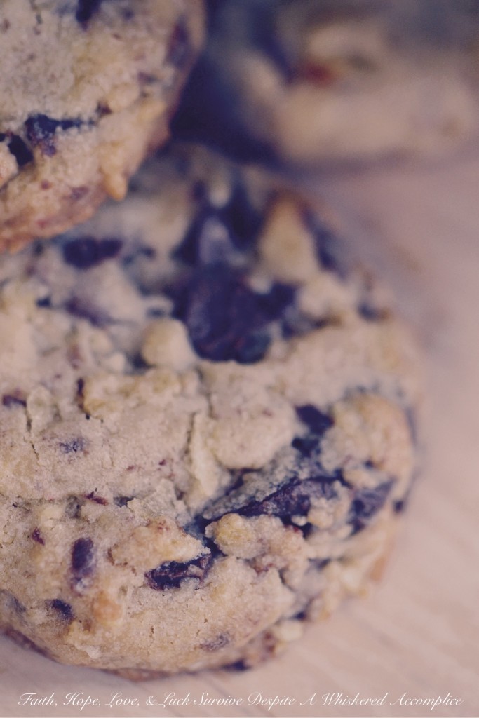 The Perfect Man Cookies - Looking for the perfect treat to impress that special man in your life? Look no further than these traditional chocolate chunk cookies. These cookies combine rich, creamy, roughly chopped chocolate with crunchy, crushed potato chips, adding a touch of saltiness to the classic cookie recipe. With their ideal balance of sweet and salty flavors, these irresistible cookies are sure to win over any man's heart.