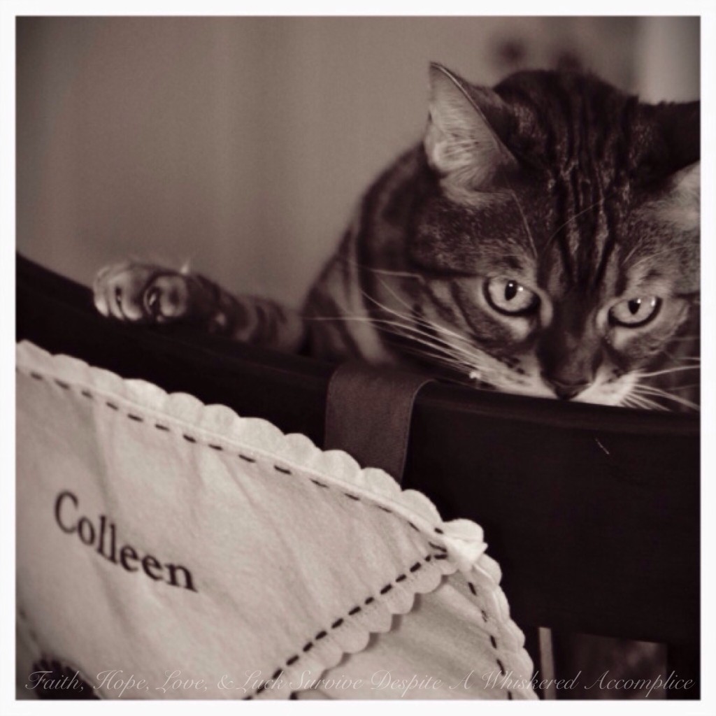 Welcoming February into Our Hearts | Faith, Hope, Love, and Luck Survive Despite a Whiskered Accomplice