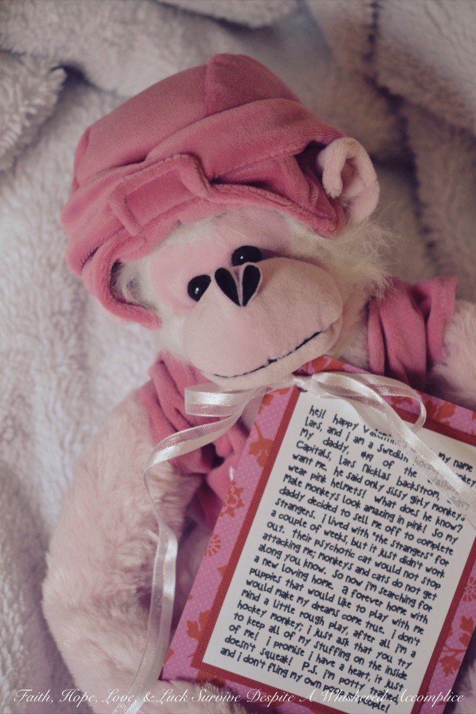 Happy Valentine's Day from Lars the Swedish Hockey Monkey | Faith, Hope, Love, and Luck Survive Despite a Whiskered Accomplice
