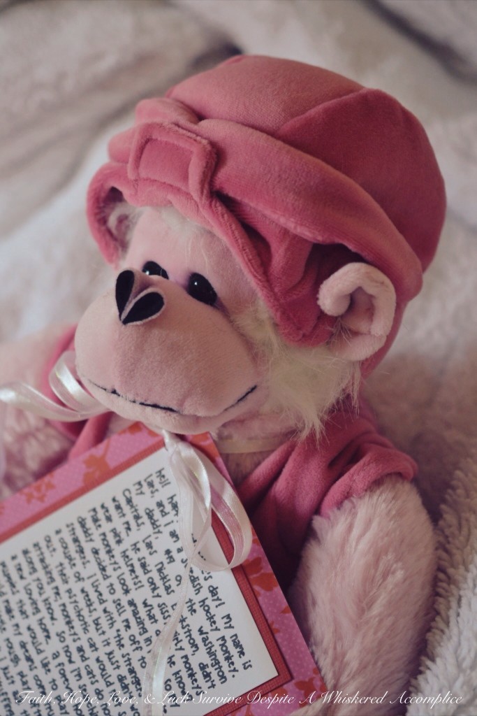 Happy Valentine's Day from Lars the Swedish Hockey Monkey | Faith, Hope, Love, and Luck Survive Despite a Whiskered Accomplice