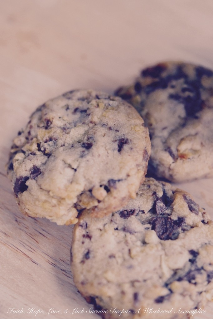 The Perfect Man Cookies - Looking for the perfect treat to impress that special man in your life? Look no further than these traditional chocolate chunk cookies. These cookies combine rich, creamy, roughly chopped chocolate with crunchy, crushed potato chips, adding a touch of saltiness to the classic cookie recipe. With their ideal balance of sweet and salty flavors, these irresistible cookies are sure to win over any man's heart.