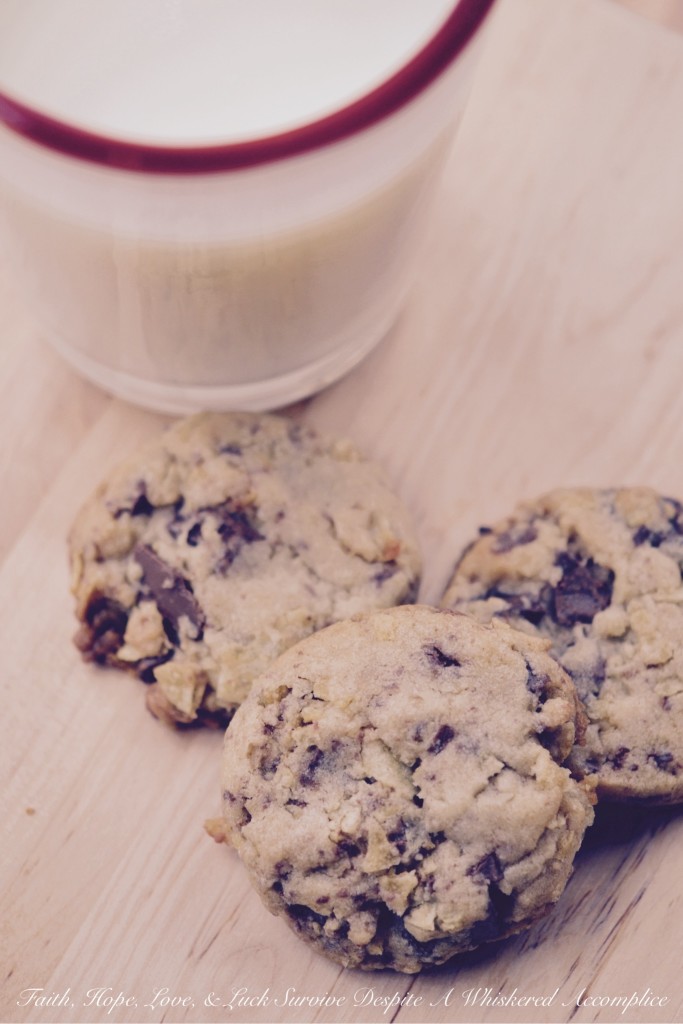 The Perfect Man Cookies - Looking for the perfect treat to impress that special man in your life? Look no further than these traditional chocolate chunk cookies. These cookies combine rich, creamy, roughly chopped chocolate with crunchy, crushed potato chips, adding a touch of saltiness to the classic cookie recipe. With their ideal balance of sweet and salty flavors, these irresistible cookies are sure to win over any man's heart.
