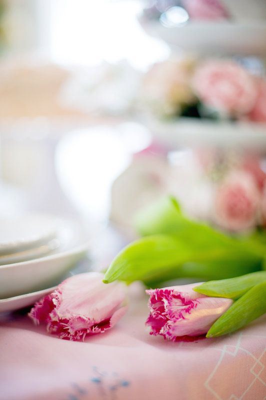 Valentine's Cake with Tulips - #YouSparkle Valentine's Day | Faith, Hope, Love, and Luck Survive Despite a Whiskered Accomplice