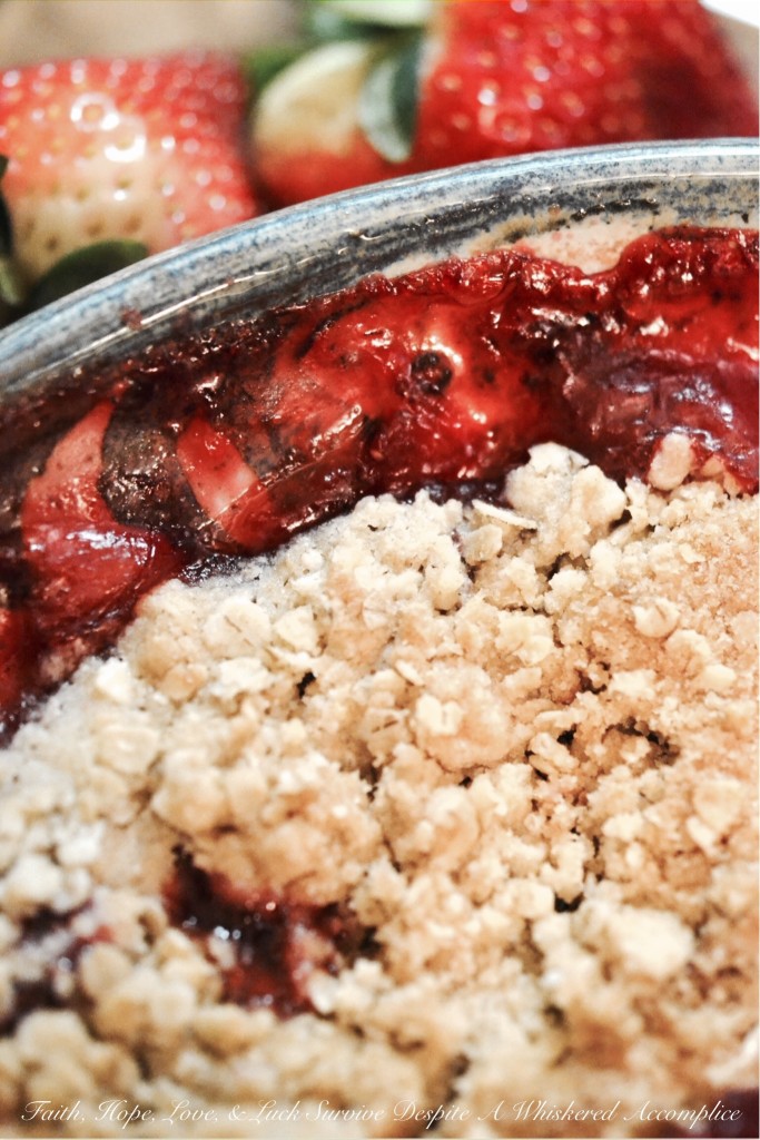 Strawberry Vanilla Oat Crumble | Faith, Hope, Love, and Luck Survive Despite a Whiskered Accomplice