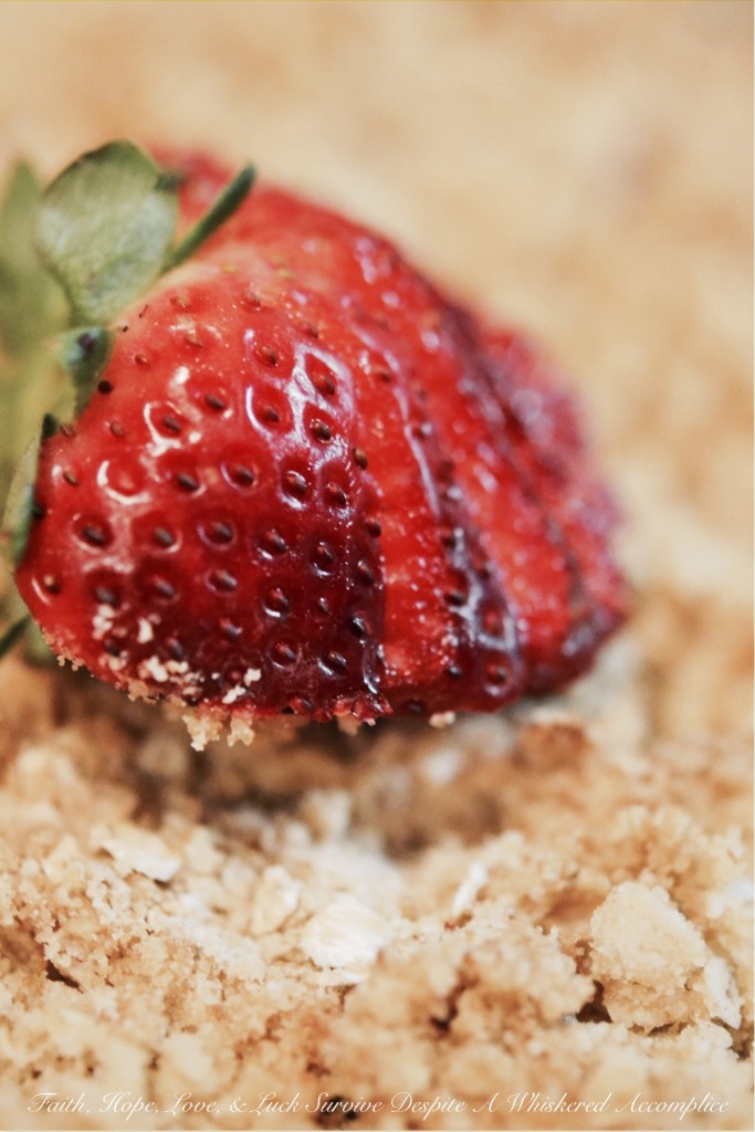Strawberry Vanilla Oat Crumble | Faith, Hope, Love, and Luck Survive Despite a Whiskered Accomplice