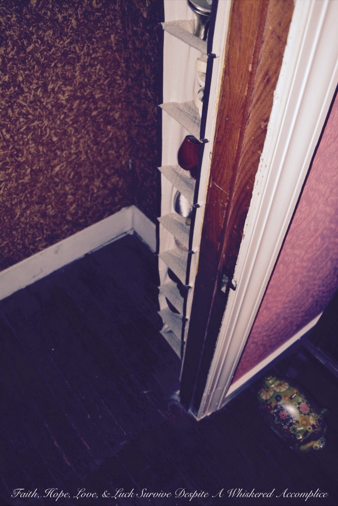 "Grandma's Room" Closet Revamp | Faith, Hope, Love, and Luck Survive Despite a Whiskered Accomplice