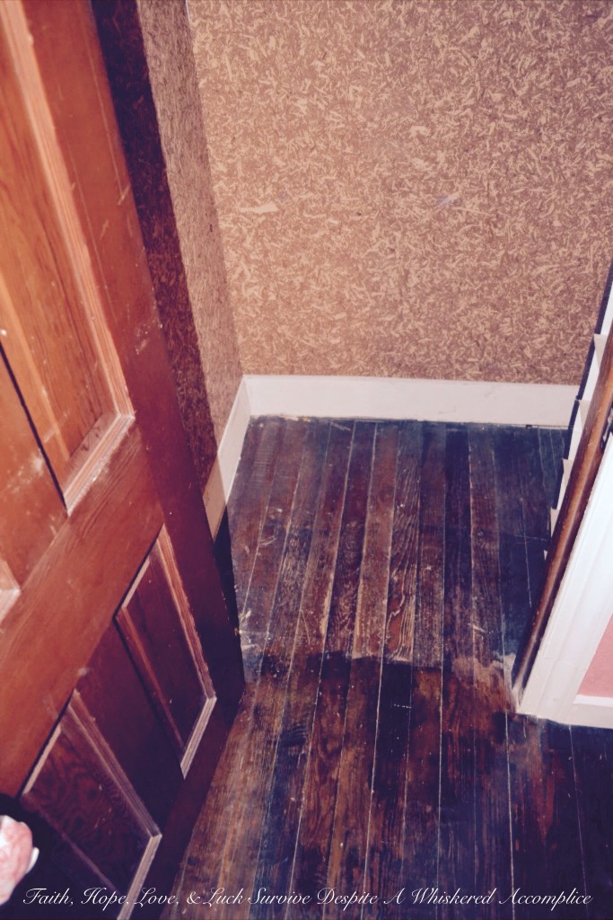 "Grandma's Room" Closet Revamp | Faith, Hope, Love, and Luck Survive Despite a Whiskered Accomplice