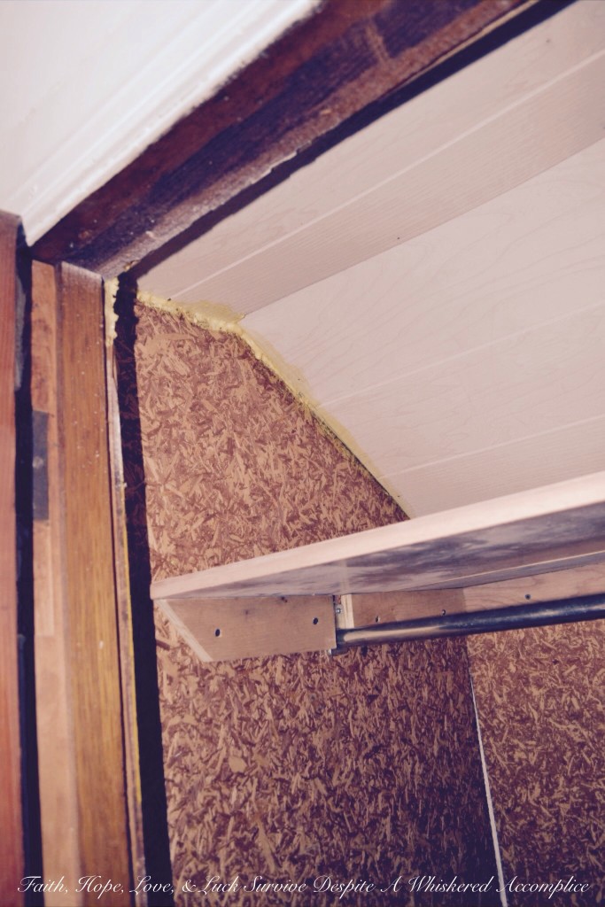 "Grandma's Room" Closet Revamp | Faith, Hope, Love, and Luck Survive Despite a Whiskered Accomplice