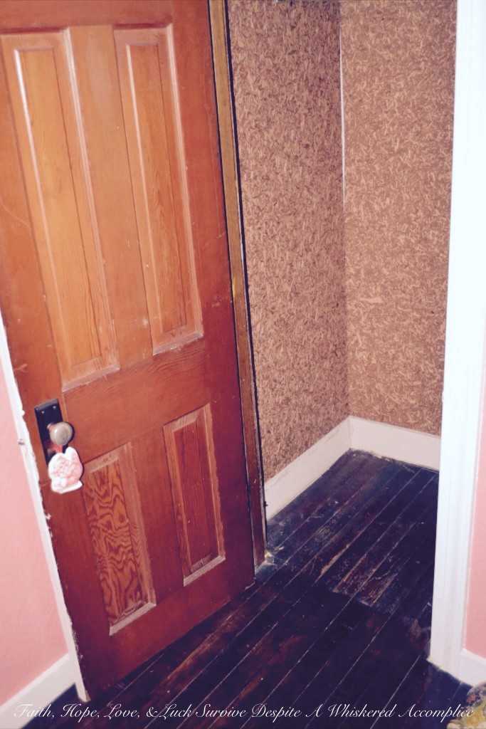 "Grandma's Room" Closet Revamp | Faith, Hope, Love, and Luck Survive Despite a Whiskered Accomplice