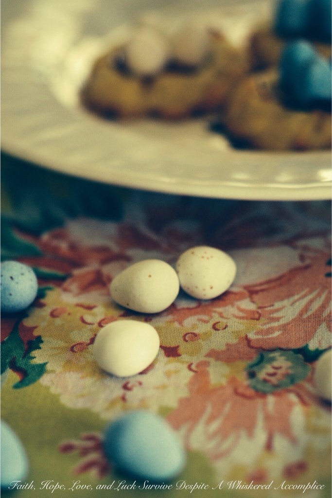 Birds Nest Cookies | Faith, Hope, Love, and Luck Survive Despite a Whiskered Accomplice