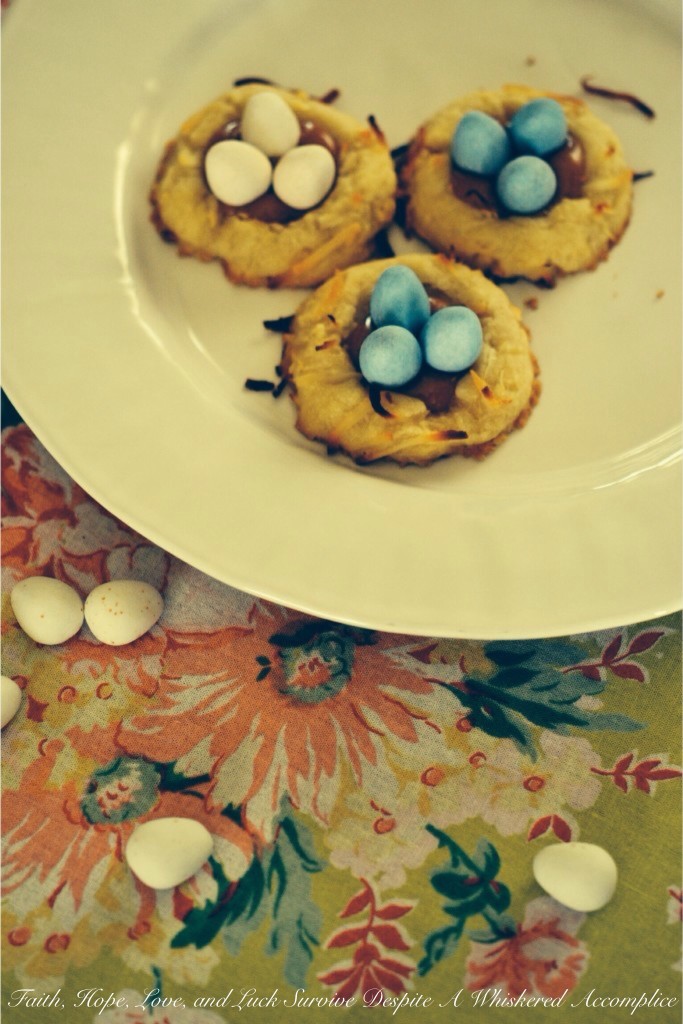 Birds Nest Cookies | Faith, Hope, Love, and Luck Survive Despite a Whiskered Accomplice