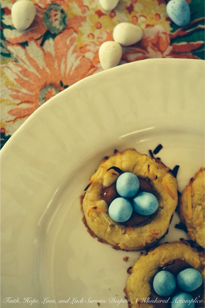 Birds Nest Cookies | Faith, Hope, Love, and Luck Survive Despite a Whiskered Accomplice
