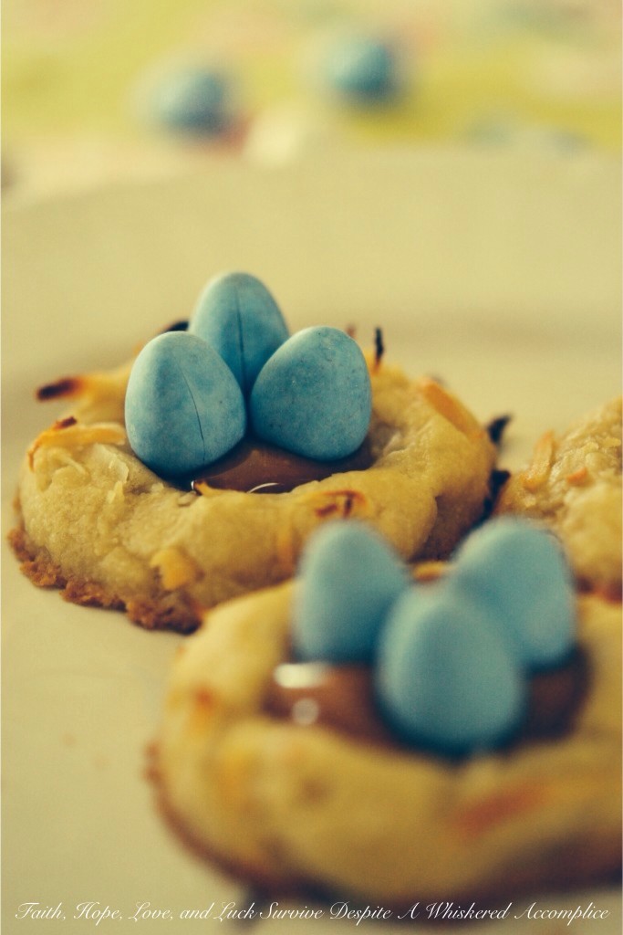 Birds Nest Cookies | Faith, Hope, Love, and Luck Survive Despite a Whiskered Accomplice