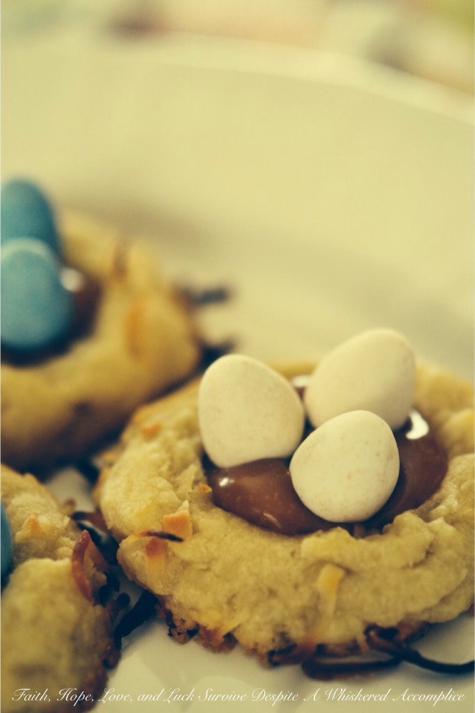 Birds Nest Cookies | Faith, Hope, Love, and Luck Survive Despite a Whiskered Accomplice