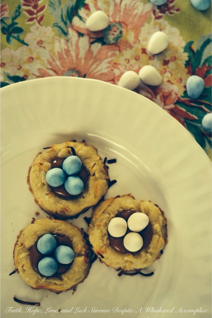 Birds Nest Cookies | Faith, Hope, Love, and Luck Survive Despite a Whiskered Accomplice
