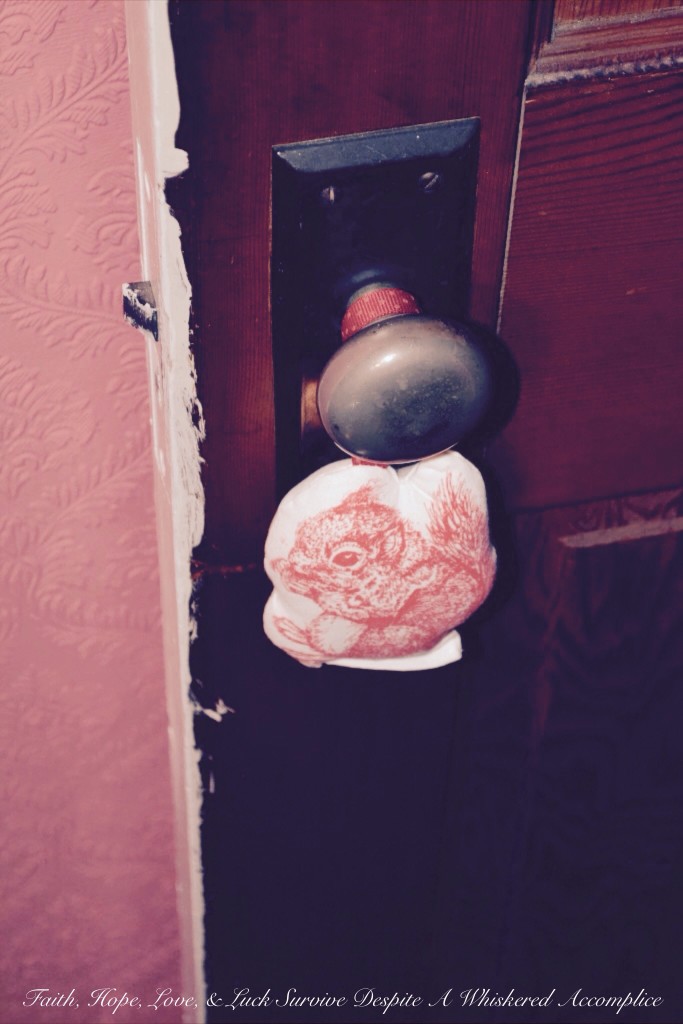 "Grandma's Room" Closet Revamp | Faith, Hope, Love, and Luck Survive Despite a Whiskered Accomplice