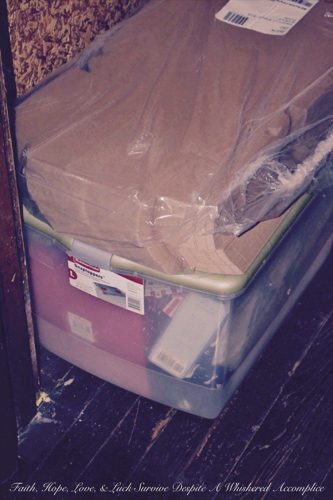 "Grandma's Room" Closet Revamp | Faith, Hope, Love, and Luck Survive Despite a Whiskered Accomplice