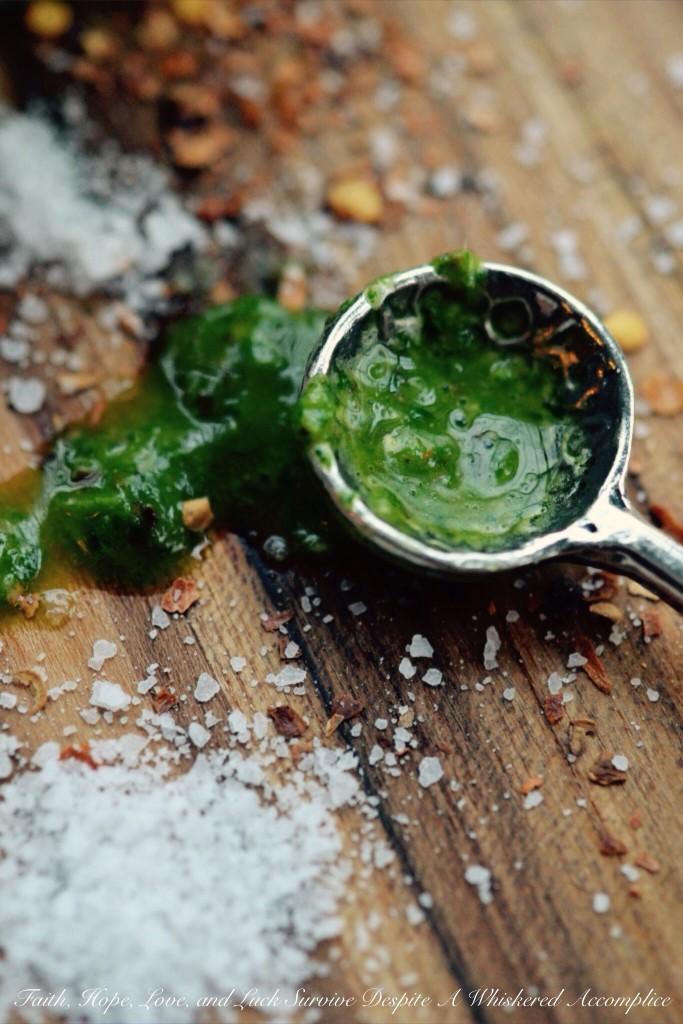 Chimichurri Sauce - This vibrant, parsley-packed sauce is the definition of bright, fresh, and flavorful. It’s the perfect companion for grilled meats, but once you start using it in potato and pasta salads, as a sandwich spread, or even as a drizzled topping for breakfast toasts, you’ll never go back. It’s more than just a condiment; it’s a bright, savory, and visually stunning flavor-packed addition that brings a pop of life and color to everything it touches.