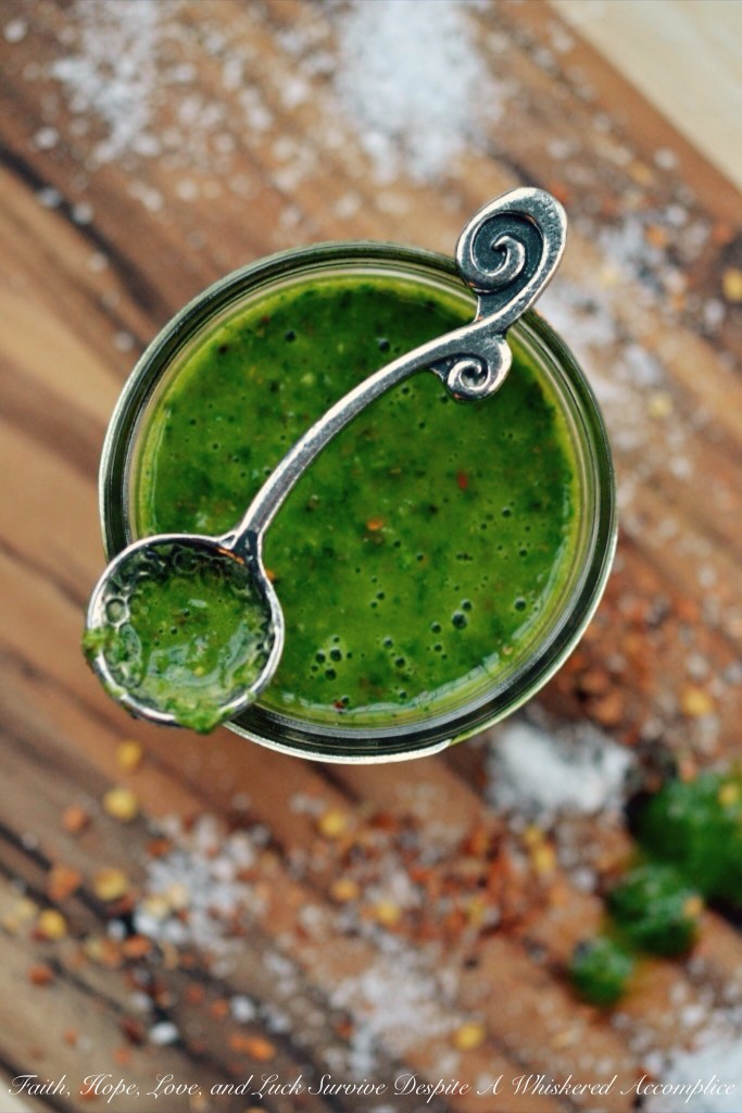 Chimichurri Sauce - This vibrant, parsley-packed sauce is the definition of bright, fresh, and flavorful. It’s the perfect companion for grilled meats, but once you start using it in potato and pasta salads, as a sandwich spread, or even as a drizzled topping for breakfast toasts, you’ll never go back. It’s more than just a condiment; it’s a bright, savory, and visually stunning flavor-packed addition that brings a pop of life and color to everything it touches.