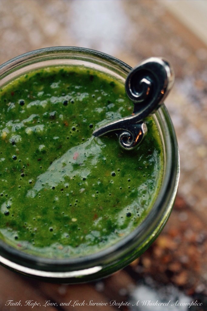 Chimichurri Sauce - This vibrant, parsley-packed sauce is the definition of bright, fresh, and flavorful. It’s the perfect companion for grilled meats, but once you start using it in potato and pasta salads, as a sandwich spread, or even as a drizzled topping for breakfast toasts, you’ll never go back. It’s more than just a condiment; it’s a bright, savory, and visually stunning flavor-packed addition that brings a pop of life and color to everything it touches.