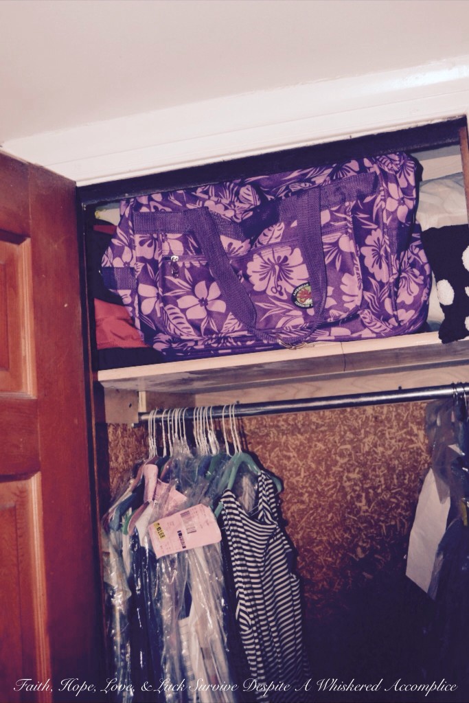 "Grandma's Room" Closet Revamp | Faith, Hope, Love, and Luck Survive Despite a Whiskered Accomplice